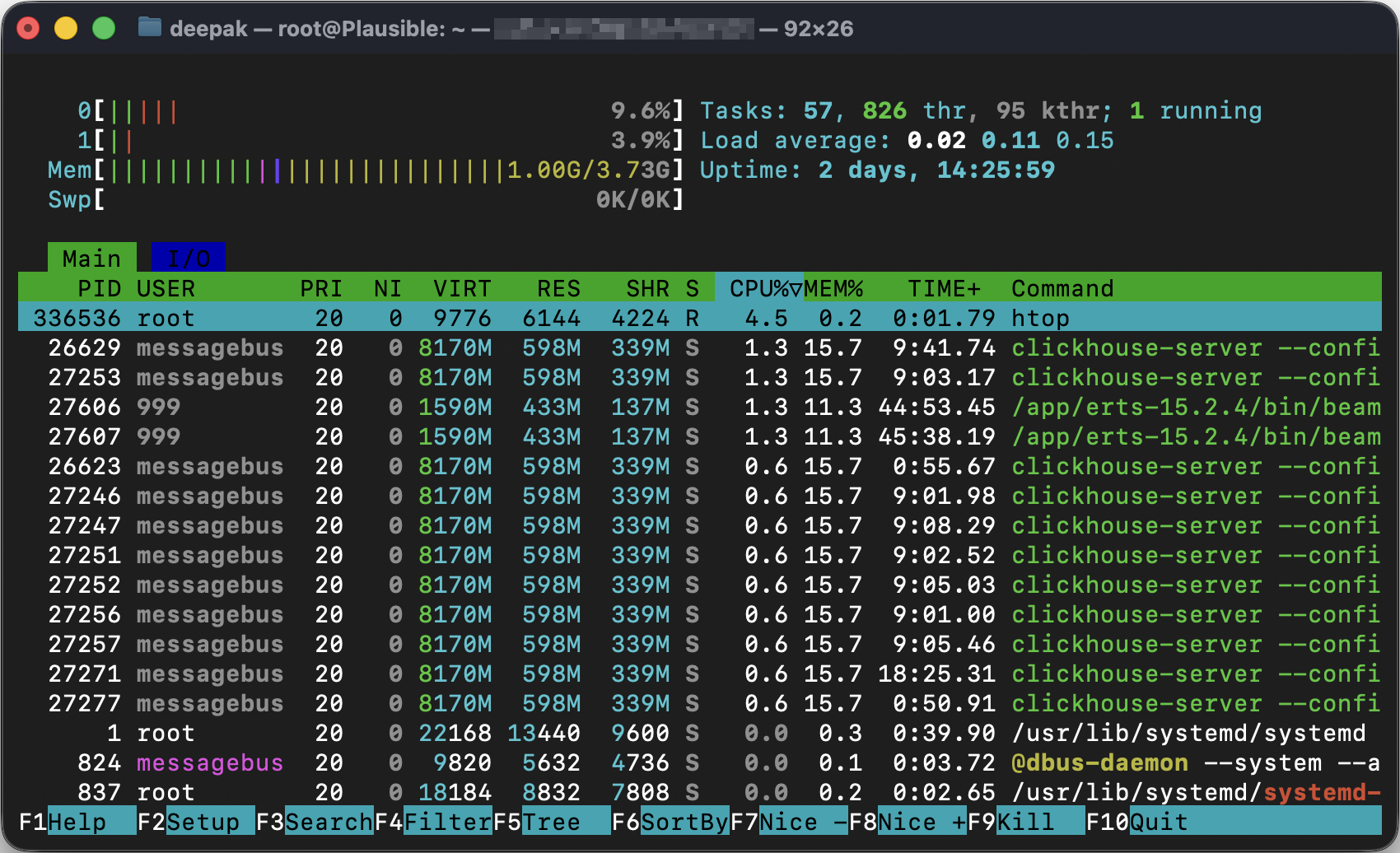 Plausible htop RAM usage
